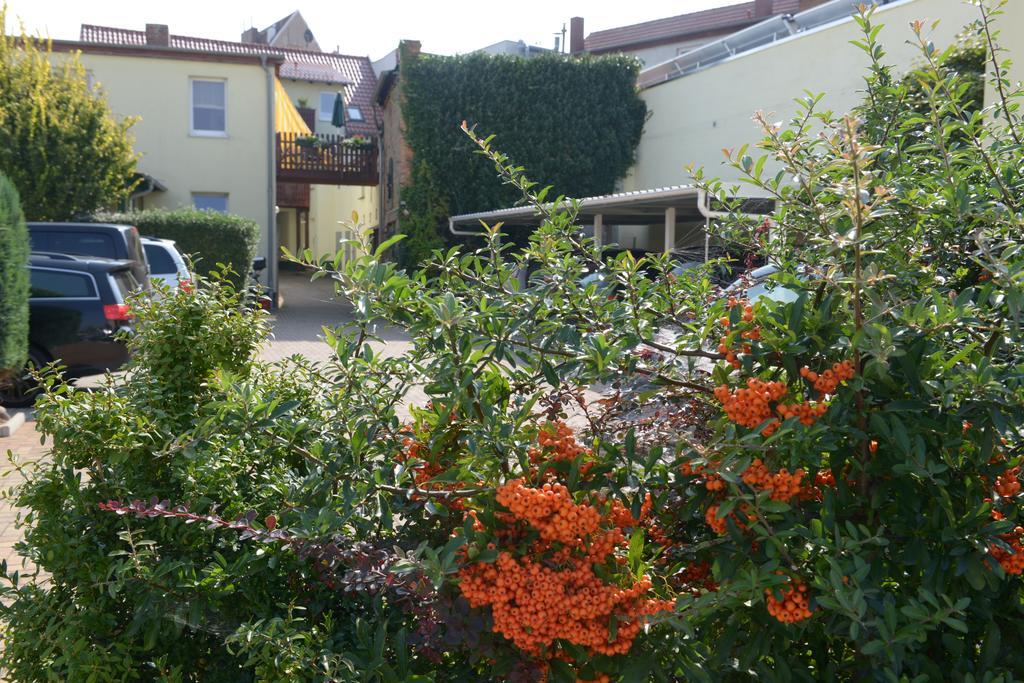 Hotel-Pension Mandy - Adults Only Senftenberg Eksteriør bilde