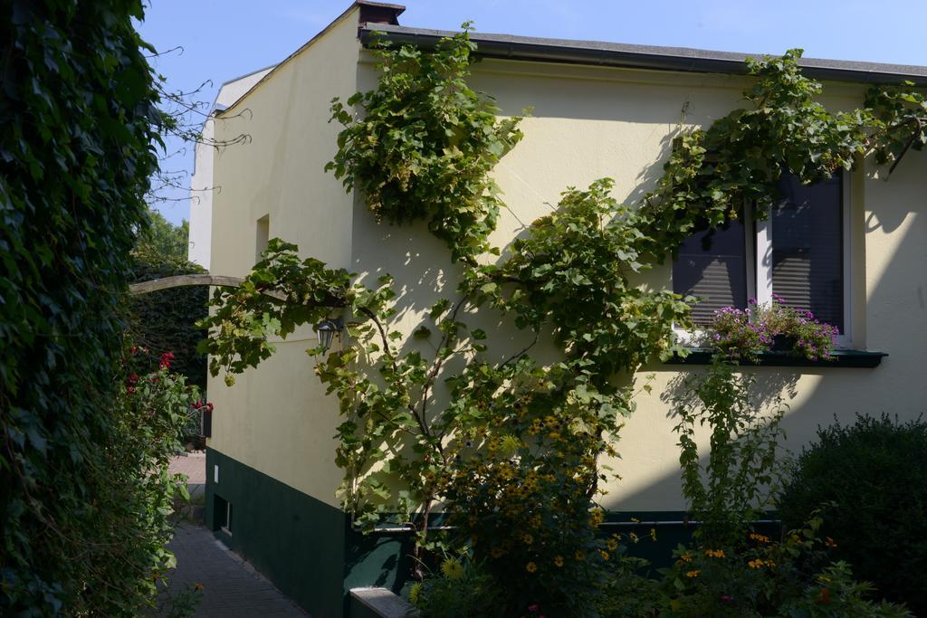 Hotel-Pension Mandy - Adults Only Senftenberg Eksteriør bilde